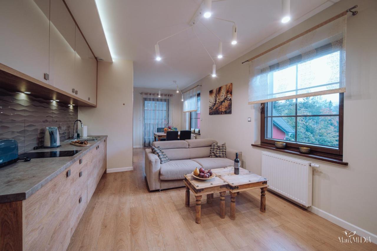 Dolina Wikingów Apartament Oye 13 Szklarska Poręba Exterior foto